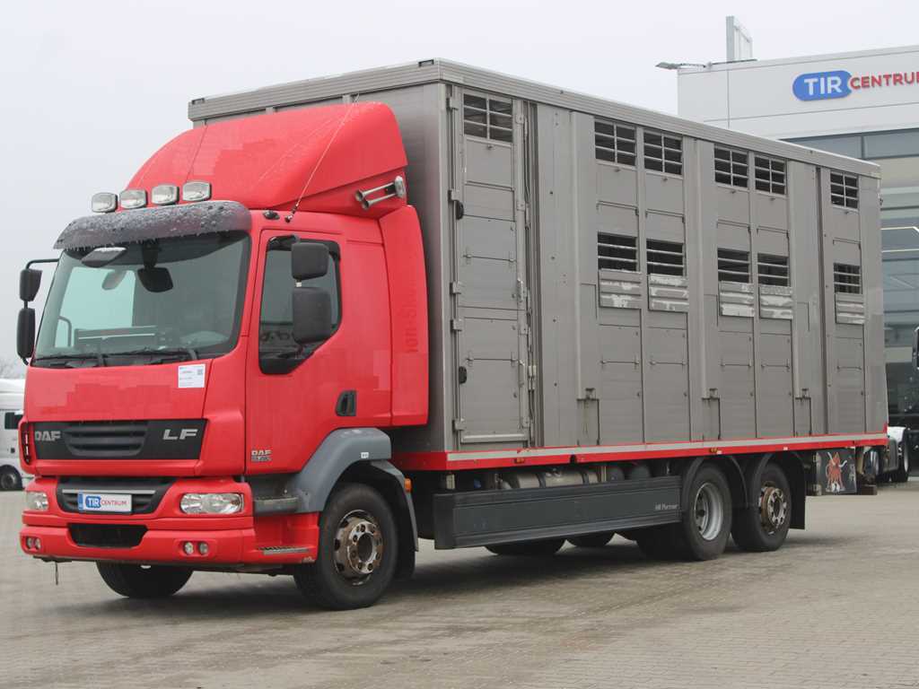 DAF LF 55.280, EURO 5, VENTILACE, 2. PATROVÝ, PŘIZVEDÁVACÍ STŘECHA